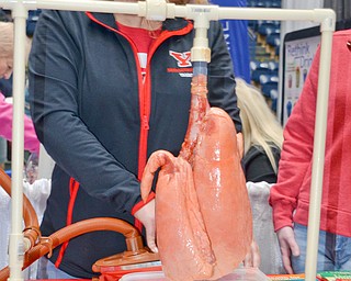 Tammy Kemble pumps air into two lungs, one representing a smoker's lungs and the other representing clean lungs. Kemble is a respiratory care major at Youngstown State University and was volunteering at the Bitonte College of Health and Human Services table at the Valley Health and Wellness Expo, held at Covelli Center on Saturday, March 3, 2018...Photo by Scott Williams, The Vindicator. .