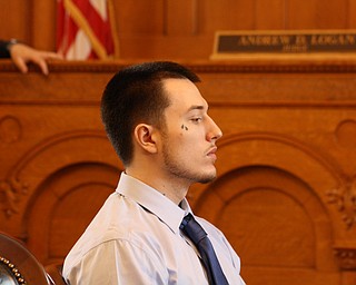 Austin Burke listens to closing arguments in his aggravated murder trial in Trumbull County Common Pleas Court.  Jurors were to receive their instructions after lunch. 