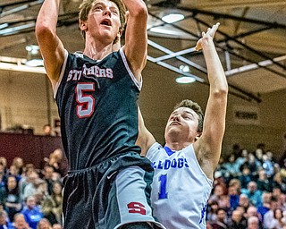 Struthers' Carson Ryan puts up a shot past Lakeview defender Daniel Evans during the Division II District Title game in Boardman on Saturday. Lakeview won the crown 72-59.