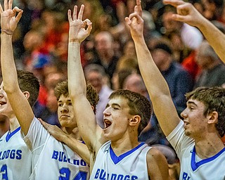 Lakeview players, left to right, Carter Huff, Dawson Brown, Clay Lazzari, and Noah Eddy react after their teammate scored a three pointer during the Division II District Title game in Boardman on Saturday. Lakeview won 72-59...Photo by Dianna Oatridge.