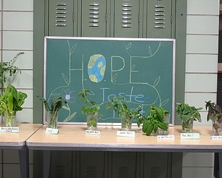 Neighbors | Zack Shively.The science department at Glenwood Junior High School showed families their hydroponic and aquaponic systems. They had a taste test of Parris Island romaine lettuce, kale, holy green basil, lemon basil, large leaf Italian basil, and dark opal basil, which they grow at the school.