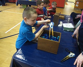 Neighbors | Zack Shively.COSI brought a presentation and ten stations to Austintown Elementary School's gymnasium on March 7-9. Some of the stations taught the children about different animals, such as a bird beak station where the children tried to grab objects based on different bird beaks.
