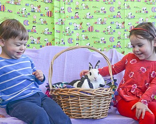 Concetta Ceraolo, right, age 4, pets Little Man and Baby Blue, two therapy bunnies from Legacy Dog Rescue and F5RS - Frisky Ferrets, Fuzzies, and Feathered Friends.  Her little brother Vincent, age 2, was slightly weary to put his hand in the basket.  The non-profit held an event called "Somebunny to Love" at Family Video in Austintown on Sunday March 25, 2018.  Concetta and Vincent were brought the event by their parents, Mark and Maria from Vienna, Ohio.

Photo by Scott Williams - The Vindicator 