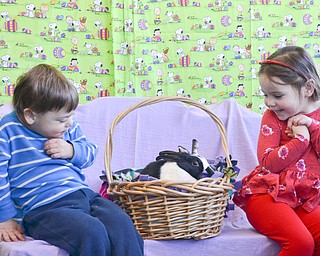 Little Man and Baby Blue, two therapy bunnies from Legacy Dog Rescue and F5RS - Frisky Ferrets, Fuzzies, and Feathered Friends, made a sudden move, spooking Concetta Ceraolo, right, age 4, and her little brother Vincent, age 2. The non-profit held an event called "Somebunny to Love" at Family Video in Austintown on Sunday March 25, 2018.  Concetta and Vincent were brought the event by their parents, Mark and Maria from Vienna, Ohio.

Photo by Scott Williams - The Vindicator 