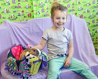 Marabella Williams, age 4, happily pets Butterscotch, a therapy bunny from Legacy Dog Rescue and F5RS - Frisky Ferrets, Fuzzies, and Feathered Friends.  The non-profit held an event called "Somebunny to Love" at Family Video in Austintown on Sunday March 25, 2018.  Marabella attended the event with her older sister Mia Williams, age 7, and their mother Melissa Williams, from Hubbard, Ohio.

Photo by Scott Williams - The Vindicator 