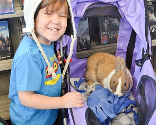 Mason Collingwood, age 3, from Poland, was excited to meet Butterscotch, a therapy bunny from Legacy Dog Rescue and F5RS - Frisky Ferrets, Fuzzies, and Feathered Friends.  The non-profit held an event called "Somebunny to Love" at Family Video in Austintown on Sunday March 25, 2018.  Mason attended the event with his grandmother Janet Vankovich from Youngstown.

Photo by Scott Williams - The Vindicator .