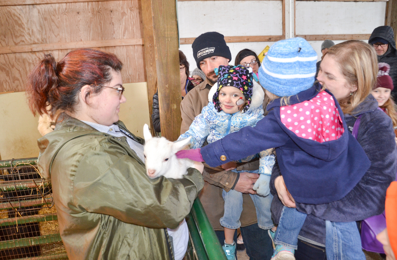 Father Eric Wojtowicz holds daughter Madeline, 3, as mother Becky Wojtowicz holds daughter Emily, 3, as they pet a baby goat, held by Natalie DelSignore, a volunteer with Jr. Fair Board, at Mill Creek MetroParks' annual Farm Animal Baby Shower at the MetroParks Farm in Canfield on Sunday April 8, 2018.

Photo by Scott Williams - The Vindicator