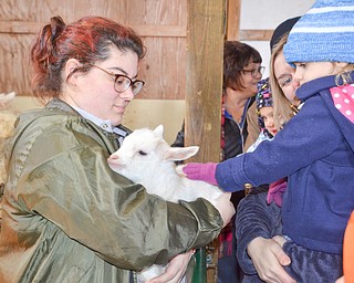 Mother Becky Wojtowicz holds daughter Emily, 3, as they pet a baby goat, held by Natalie DelSignore, a volunteer with Jr. Fair Board, at Mill Creek MetroParks' annual Farm Animal Baby Shower at the MetroParks Farm in Canfield on Sunday April 8, 2018.

Photo by Scott Williams - The Vindicator