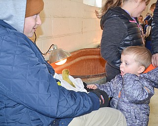 Luke Stambaugh, 2, was excited to see a baby goose up close at Mill Creek MetroParks' annual Farm Animal Baby Shower at the MetroParks Farm in Canfield on Sunday April 8, 2018.  The goose was held by Jacob Corll, a volunteer from Berlin Center.  Stambaugh was brought the the event by his parents Josh and Jessica Stambaugh, and sisters Lelayla, 5, and Ella, 7, of Tallmadge, Ohio.

Photo by Scott Williams - The Vindicator