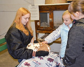 Sisters Ella Stambaugh, 7, (right) and Lelayla Stambaugh, 5, (center) of Tallmadge, Ohio learned about rabbits at Mill Creek MetroParks' annual Farm Animal Baby Shower at the MetroParks Farm in Canfield on Sunday April 8, 2018.  The rabbit is held by Sarah DeLucia, a volunteer from New Middletown.

Photo by Scott Williams - The Vindicator