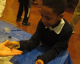 Neighbors | Zack Shively.Along with the "Wild By Design" presentation, the Carnegie Science Center brought several activity stations for the students to have a hands-on experience with the concepts taught during the presentation. Pictured, one of the stations had a beetle, which had been talked about during the assembly.