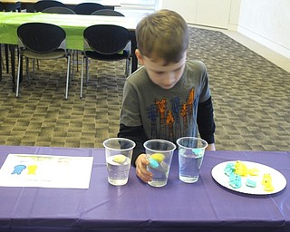 Neighbors | Zack Shively.The children guessed whether or not Peeps would float at a certain station. Another station included a cup of water with blue and yellow Peeps inside that turned the water green.