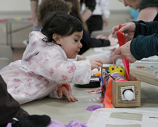 Kite Fest at the Mill Creek MetroParks Farm