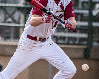 THE VINDICATOR | DIANNA OATRIDGEÊ Cardinal Mooney's Brandon Mikos lays down a bunt during their 11-2 win over Howland in the Division II Sectional Final at Cene Park on Wednesday.