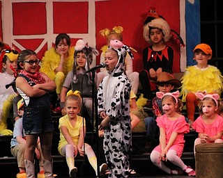 Neighbors | Abby Slanker.A C.H. Campbell Elementary School kindergartner, dressed as the cow who could not moo, was finally persuaded by his barnyard friends to moo during the school’s annual performance of “E-I-E-I Oops!” at Canfield High School on May 14.