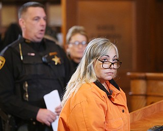 The judge presiding over the Claudia Hoerig aggravated murder case has given permission for her attorneys to hire a licensed psychologist with experience in battered woman syndrome to assist with her defense. Hoerig, 53, is charged in the March 2007 shooting death of her husband, Maj. Karl Hoerig in their Ninth Street Newton Falls home. She fled back to her native Brazil after the shooting but was returned to Trumbull County in January.