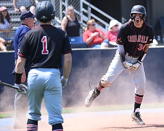 HUDSON, OHIO- 05-24-18 BASEBALL D2 Regional Semi- Chardon Hilltoppers vs Canfield Cardinals: Canfield's Alex Hernandez (34)  celebrates scoring during the 2nd inning at The Ball Park at Hudson, Hudson High School.  MICHAEL G. TAYLOR | THE VINDICATOR