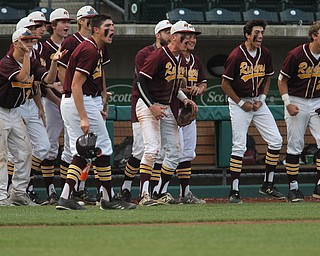 The South Range baseball team celebrates after they take a 3-0 lead in the sixth inning against MAdeira in the State semi finals matchup at Huntington Park in Columbus on Thursday evening. Dustin Livesay  |  The Vindicator  5/31/18  Columbus