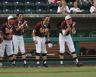 The South Range baseball team celebrates after they take a 3-0 lead in the sixth inning against MAdeira in the State semi finals matchup at Huntington Park in Columbus on Thursday evening. Dustin Livesay  |  The Vindicator  5/31/18  Columbus