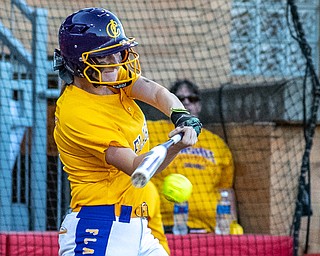 DIANNA OATRIDGE | THE VINDICATORÊ Champion's Cassidy Shaffer makes contact during the Division III State Championship in Akron on Saturday.