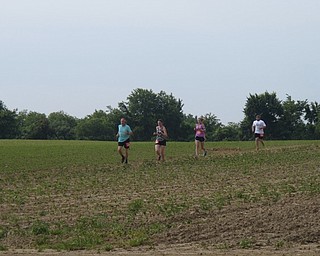 Neighbors | Zack Shively.Molnar Farms' Strawberry 5K race had the runners travel across trails next to the farm's crops. The event raised money for a good cause while also letting the farms display their market.