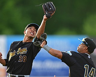 NILES, OHIO - JUNE 15, 2018: West Virginia Black Bears starting pitcher Alex Manasa, left, catches a ball while avoiding a collision with Johan Herrera in the second inning, Friday night at Eastwood Field. DAVID DERMER | THE VINDICATOR