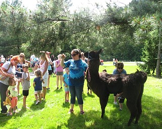 Neighbors | Jessica Haker .A volunteer from 4-H of Mahoning County held a llama while children gather around to pet it.