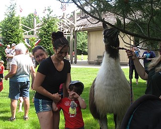 Neighbors | Jessica Harker .Brianne Severn and her son Carter petted one of the llamas handled by a 4-H volunteer.