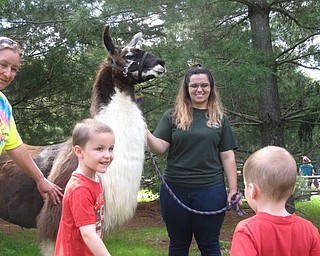 Neighbors | Jessica Harker .Edward Freeze (left) and his brother Isaac (right) got close to one of the llamas held by two 4-H volunteers at the event June 12.