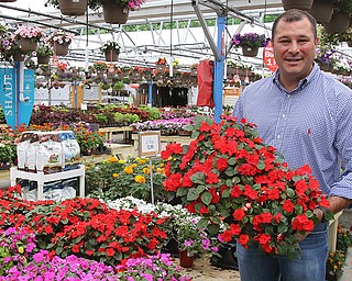 Petitti Garden Center recently invested more than $1.5 million into remodeling its store, greenhouse and nursery on South Avenue in Boardman. Company President A.J. Petitti displays begonias in the center’s greenhouse.