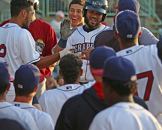 Scrappers catcher Jason Rodriguez (middle) gets greeted by his teammates as he returns to the dugout after hitting a solo home run in the bottom of the third inning during Monday evenings matchup against the Williamsport Crosscutters at Eastwood Field in Niles.