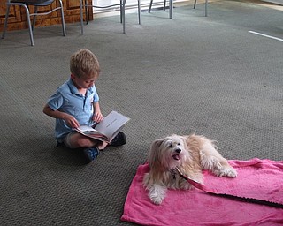 Neighbors | Jessica Harker .Ethan Cohen read a book to Roxie on June 19 at the Poland library. The Public Library of Youngstown and Mahoning County offers this and other programs to promote literacy at their locations every month.