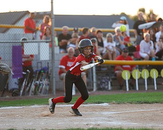 Canfield's Gianna Pannanzio bunts during the district championship game against Poland on Sunday.