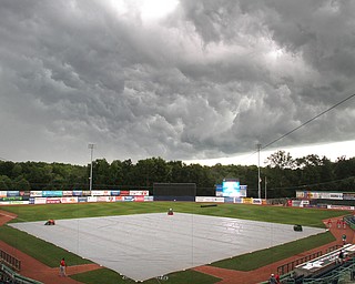 SCRAPPERS MUCKDOGS