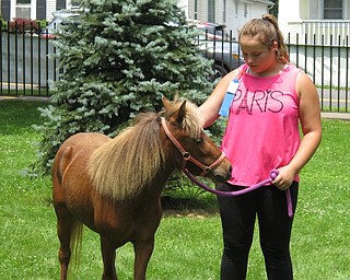 Neighbors | Jessica Harker.Madison Myers, sporting her first place ribbon from the Chalk the Walk event, led a miniature pony around the grassed area on June 30 during Celebrate Poland.