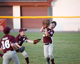 Boardman's Dominic Krol,right. misses the ball while Ivan Rudiak, center, and Grayson Eicher try to help during the Little League baseball 11-U playoff game against Canfield on Wednesday.