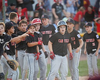 Canfield celebrates after Dylan Mancini, third from right, hits a home run during the Little League baseball 11-U playoff game against Boardman on Wednesday.