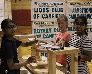 Neighbors | Abby Slanker.A group of Canfield Village Middle School fifth-graders attempted to build a self-supporting bridge out of blocks and metal plates during the school’s STEM Day.