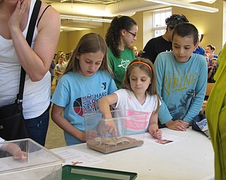 Neighbors | Jessica Harker.Children got to line up and pet the leopard gecko at the June 28 Felgers exotic animals presentation.