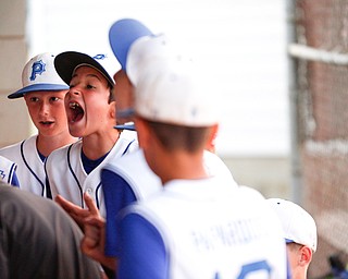 Poland's Danny Nitolli screams with his teammates during the third inning of the 12u district championship game against Boardman at Field of Dreams in Boardman on Thursday.