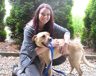 Neighbors | Zack Shively.Sweeney Chevrolet teamed up with Boardman Park for their annual Adopt-a-Palooza on June 3. The event featured eight animal rescues. 2017's event led to 12 adoptions, and they look forward to leading to more in the future. Pictured is Angie from All About the Pawz with Duncan the dog.