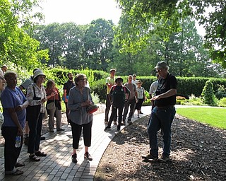 Neighbors | Jessica Harker.A large crowd gathered outside while Jim Chatfield discussed the local trees in Mill Creek Park on July 11.