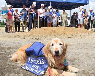 William D. Lewis The Vindicator  A ground breaking ceremony was held Sunday 7-22-18 for a new wing at Angels for Animals. Simba, a dog from Angels, was on hand for the event as were a couple hundred well wishers and supporters. Simba is owned by Patrick Bateman who adopted the dog from Angels and now the dog helps with fund raising efforts.