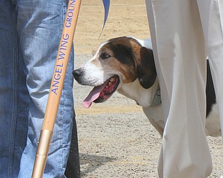 Angel Wing Ground Breaking