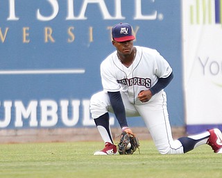 Hosea Nelson fields a ball in left field during Tuesday night's game against the Cyclones.