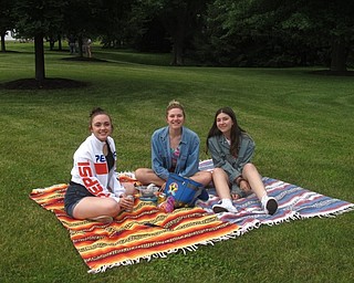 Neighbors | Jessica Harker .Moe Prather, D'Ella Heschmeyer and Millie Heschmeyer sat and listened to the Boardman jazz band play on June 21 during the Music in the Park concert series.