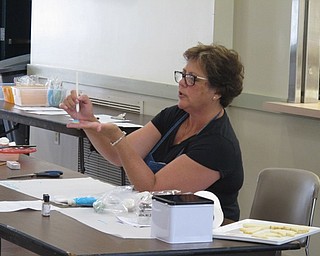 Neighbors | Jessica Harker.Instructor Cindy Velt showed participants how to properly decorate their cookies at the Metro parks Farm on June 26.