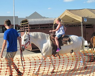 Neighbors | Jessica Harker.Angela Pflug rode one of the horses brought to the plaza by Pony Tails July 1 for the Austintown Fourth of July event.