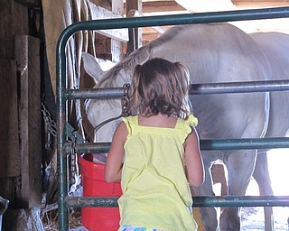 Neighbors | Jessica Harker.Ella Pfahler leaned in to pet the mare named Maria at MetroParks Farm for the Food Quest camp on July 9.