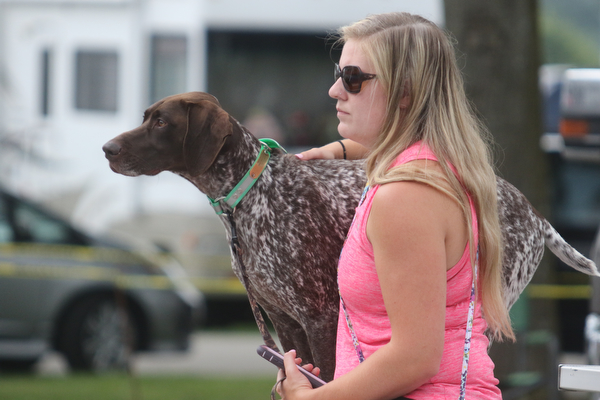  ROBERT K.YOSAY  | THE VINDICATOR..Watching the Dock diving..."clay" a German Shorthair Pointer   and Alisha (OK)  Tomac of Wheeling WV..-30-